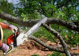 Best Tree Trimming and Pruning  in Greentown, OH